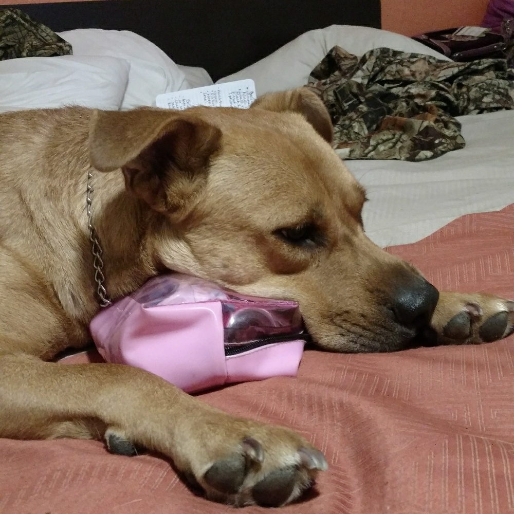 Meet your Posher, Tonka